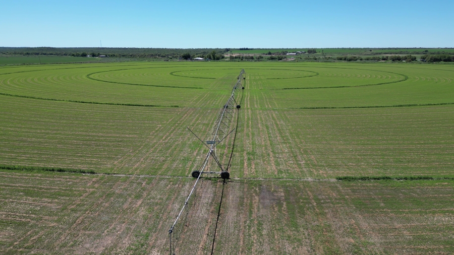 0 Bedroom Property for Sale in Douglas Rural Northern Cape